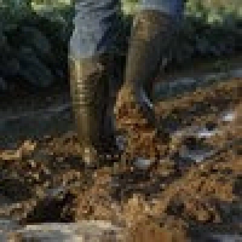 Bekina StepliteX (Alliance X S5) Safety Boots5412684026453